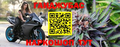 мяу мяу мука Новодвинск