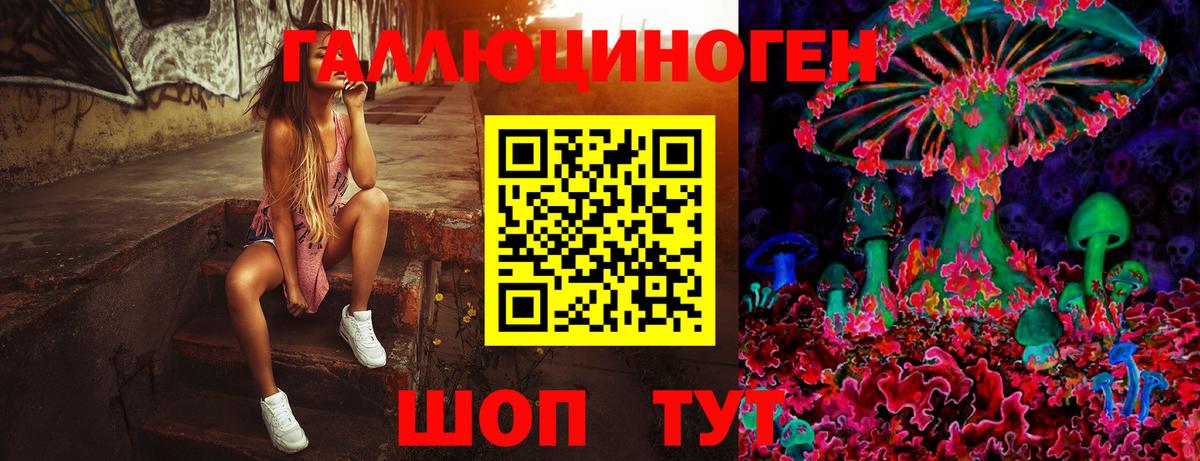 Псилоцибиновые грибы мухоморы Шали
