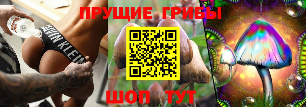 купить наркотик  Псилоцибиновые грибы Psilocybe  Вход с VPN  Шали 